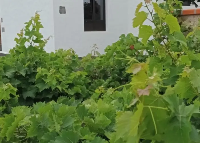 Casa Rinaifi Villa