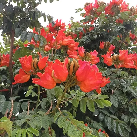 Casa Rinaifi Villa Guatiza