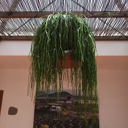 ヴィラ Casa Rinaifi *